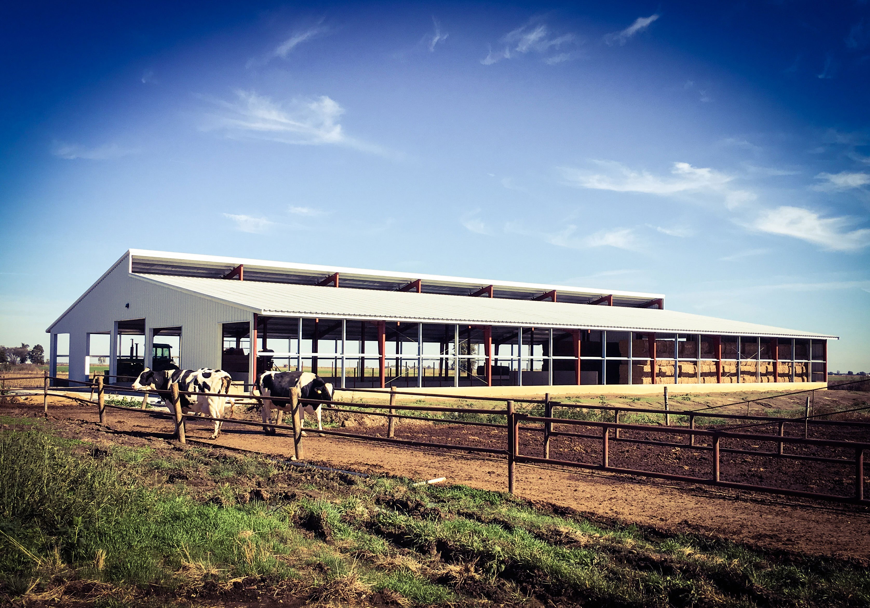 Cattle Barn projects